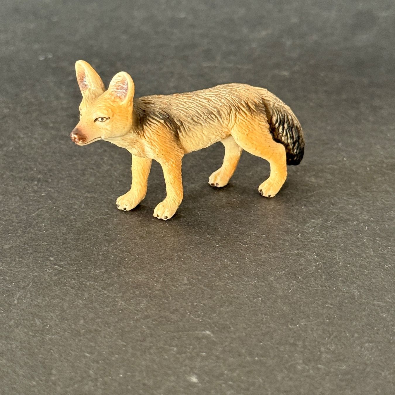 Schleich Statuette: Schleich - Schakal 14345 – Usato da Ennetbaden venduto da mapa05