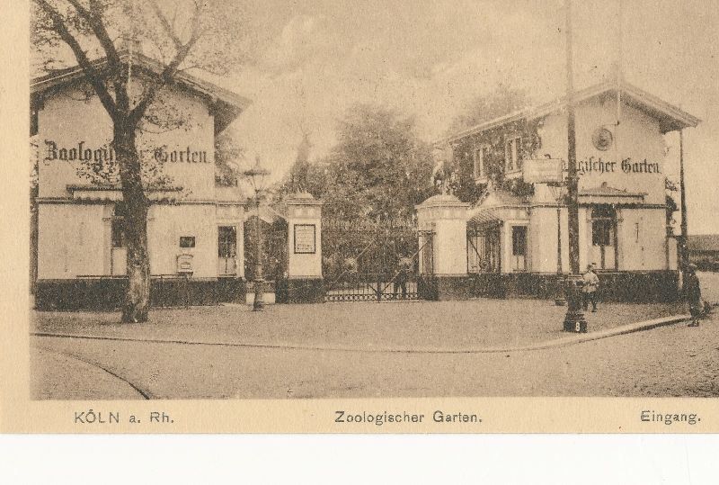 Ansichtskarten: Köln - Zoologischer Garten Eingang c1915 – Gebraucht aus Emmenbrücke von teestube