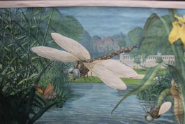 Schulwandbild Libelle Vintage Biologie Schule Rarität