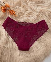 NEU sexy Spitzen Slip, Grösse S
