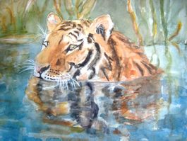Zoo - Orig. Aquarell Bengal-Tiger