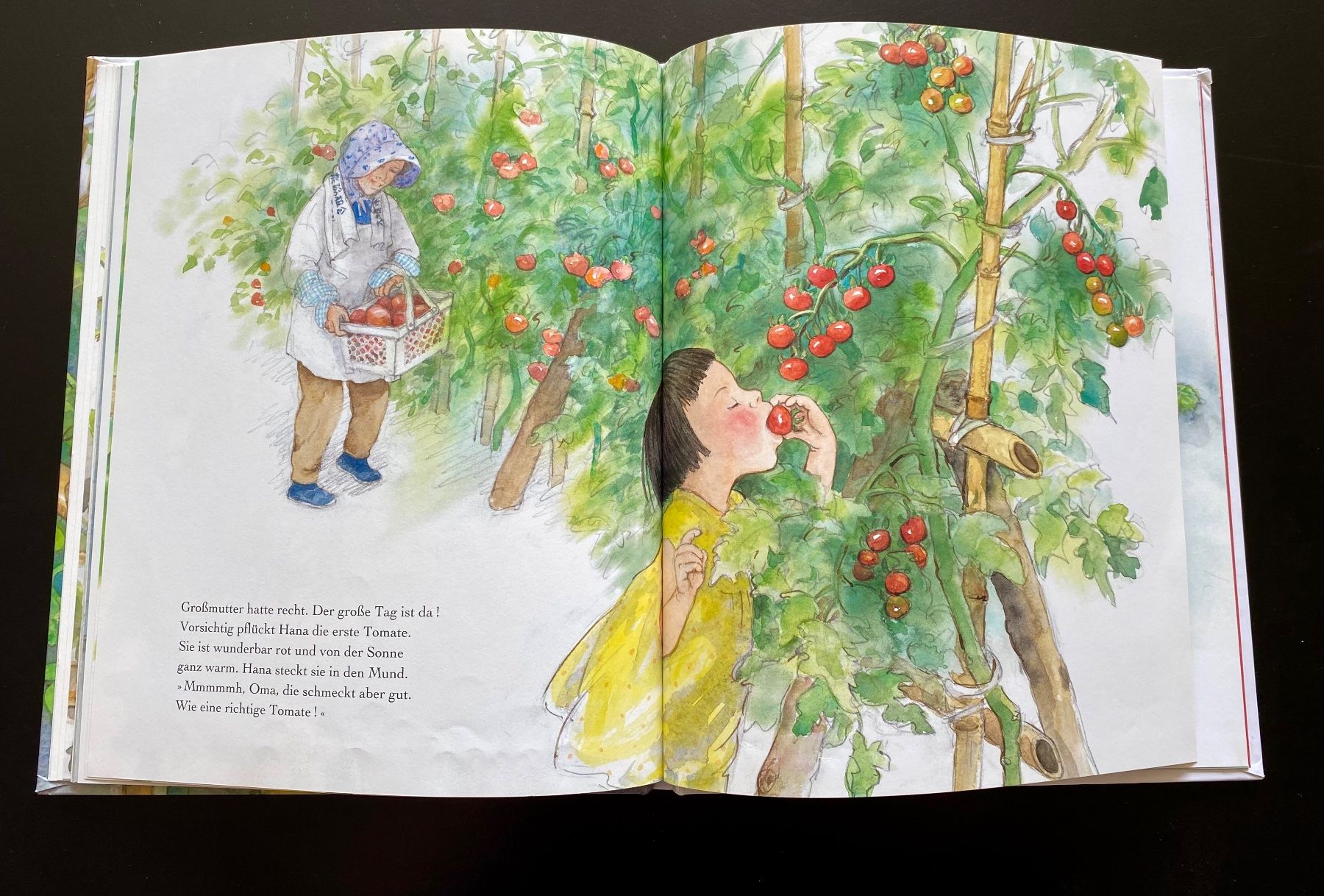 Libri: Das Tomatenfest – Usato da Nussbaumen AG venduto da schuba2000 4