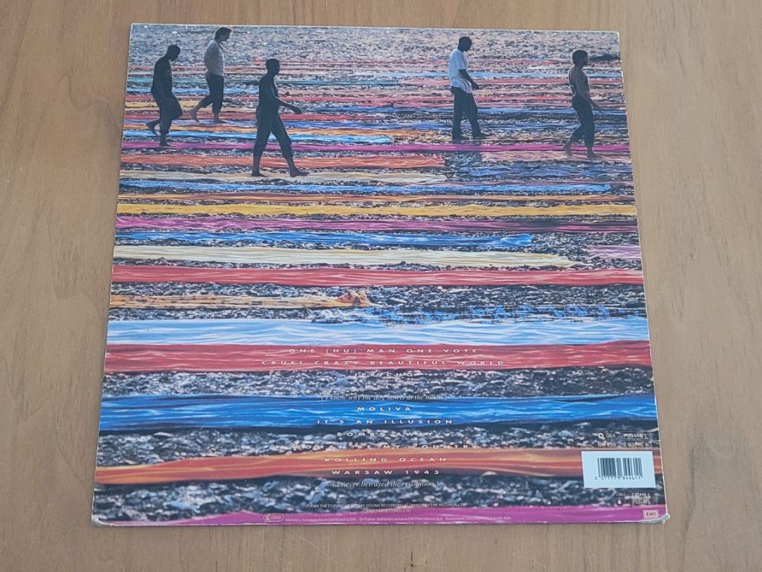 Dischi in vinile: LP  Johnny Clegg & Savuka – Usato da Martigny venduto da MZ-67 1