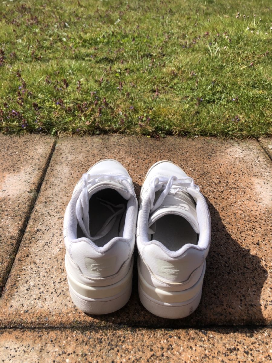Lacoste Scarpe da uomo: Lacost Schuhe – Usato da Merligen venduto da iTzRafi 1
