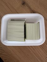 Panini