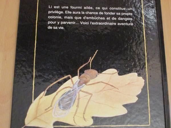Libri: La fourmi ailée – Usato da Neuchâtel venduto da Dualseele 1