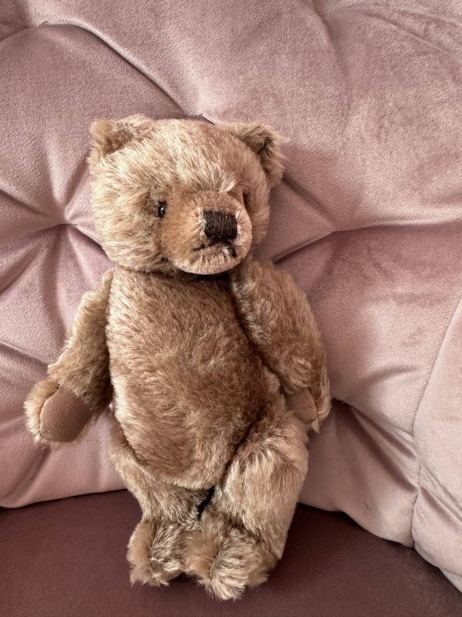Giocattoli: Steiff Teddy 23 cm – Usato da Herbriggen venduto da Sehrazade