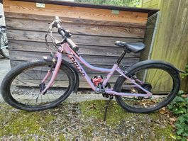 Naloo 24-Zoll Mädchenvelo – frisch ab Service