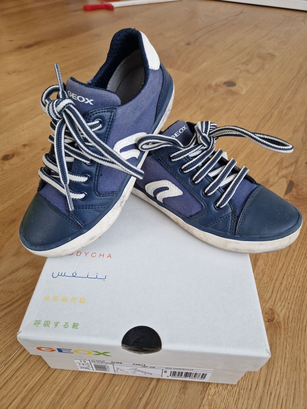 Geox Scarpe per ragazzi: Schuhe Geox Gr. 31 – Nuovo (secondo la descrizione) da Davos-Dorf venduto da Bpelikan