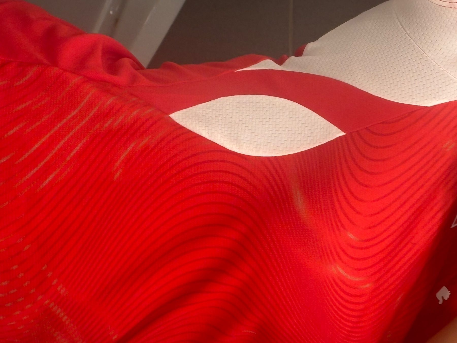 Leibchen & Hosen: Original schweizer nati Trikot – Neu (gemäss Beschreibung) aus Liestal von leo_5hsv 2