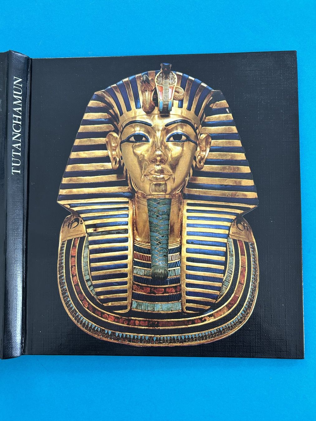 Libri: TUTANCHAMUN – Usato da Zürich venduto da Domus09 1