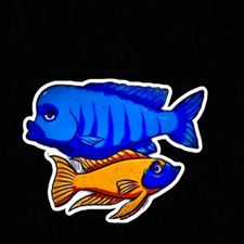Profile image of Fronto80