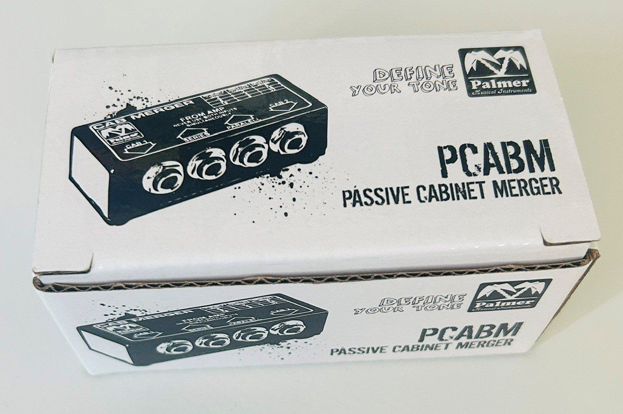 Strumenti musicali: Palmer CAB M Merger – Usato da Aesch BL venduto da viva6666 2