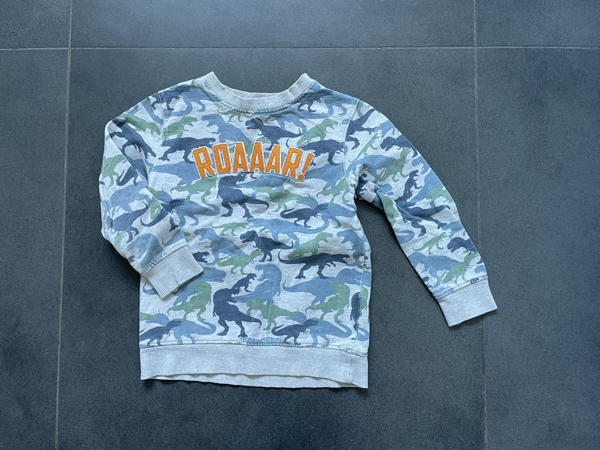 Pulls et sweat-shirts: Pullover / Sweatshirt Gr. 110 Migros Kids – D'occasion à Aesch ZH par lawas