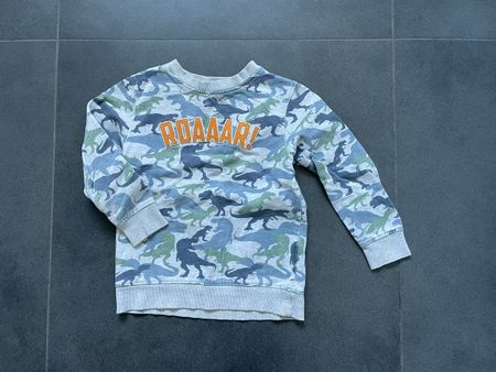 Pullover / Sweatshirt Gr. 110 Migros Kids