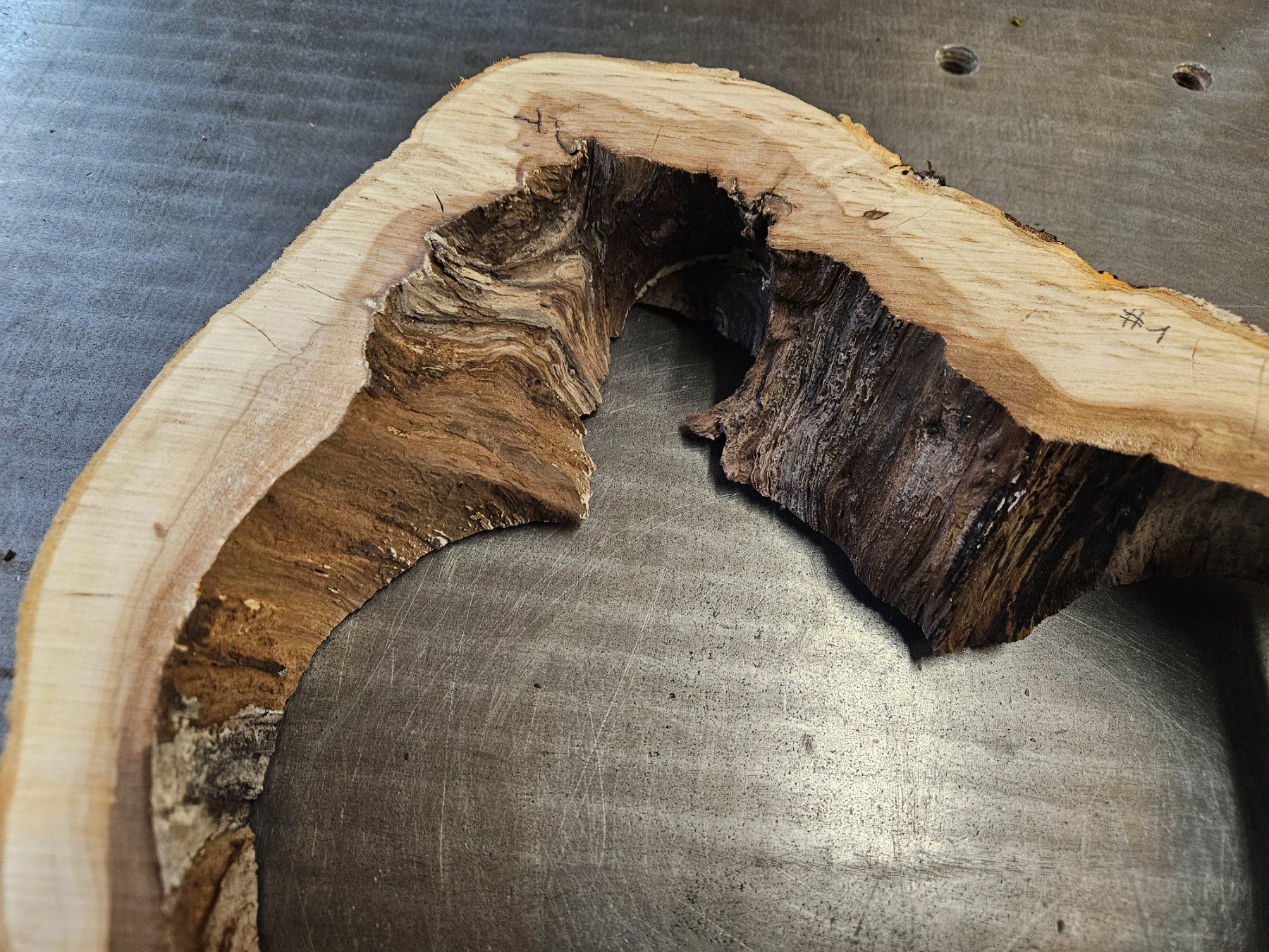 Articoli in legno: Baumscheibe Apfelbaum – Nuovo (secondo la descrizione) da Schangnau venduto da egli6.2 1