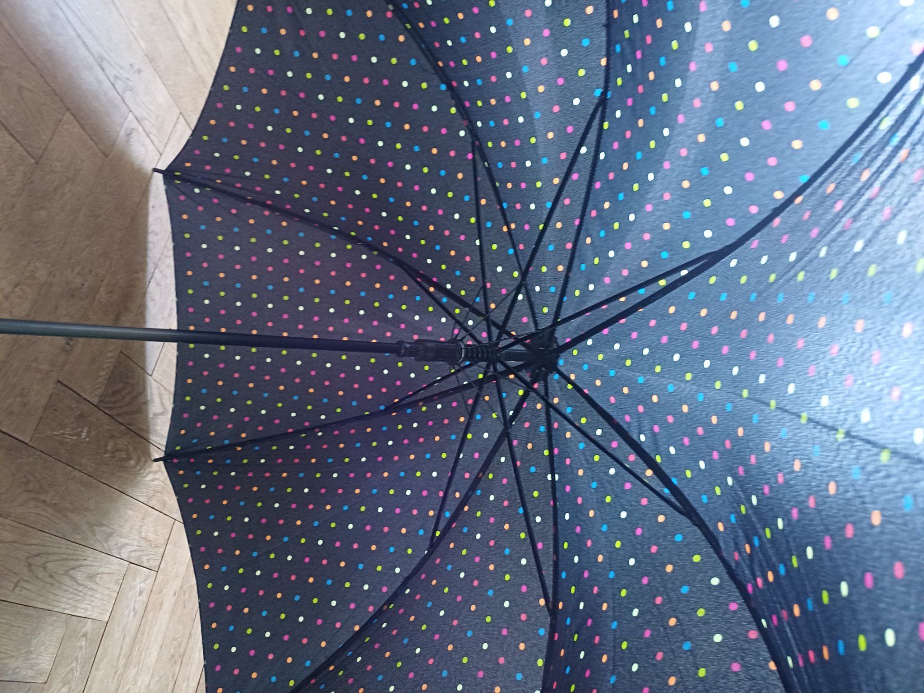 Parapluies: Maddison Regenschirm gebraucht schwarz – D'occasion à Bern par rikivip 2
