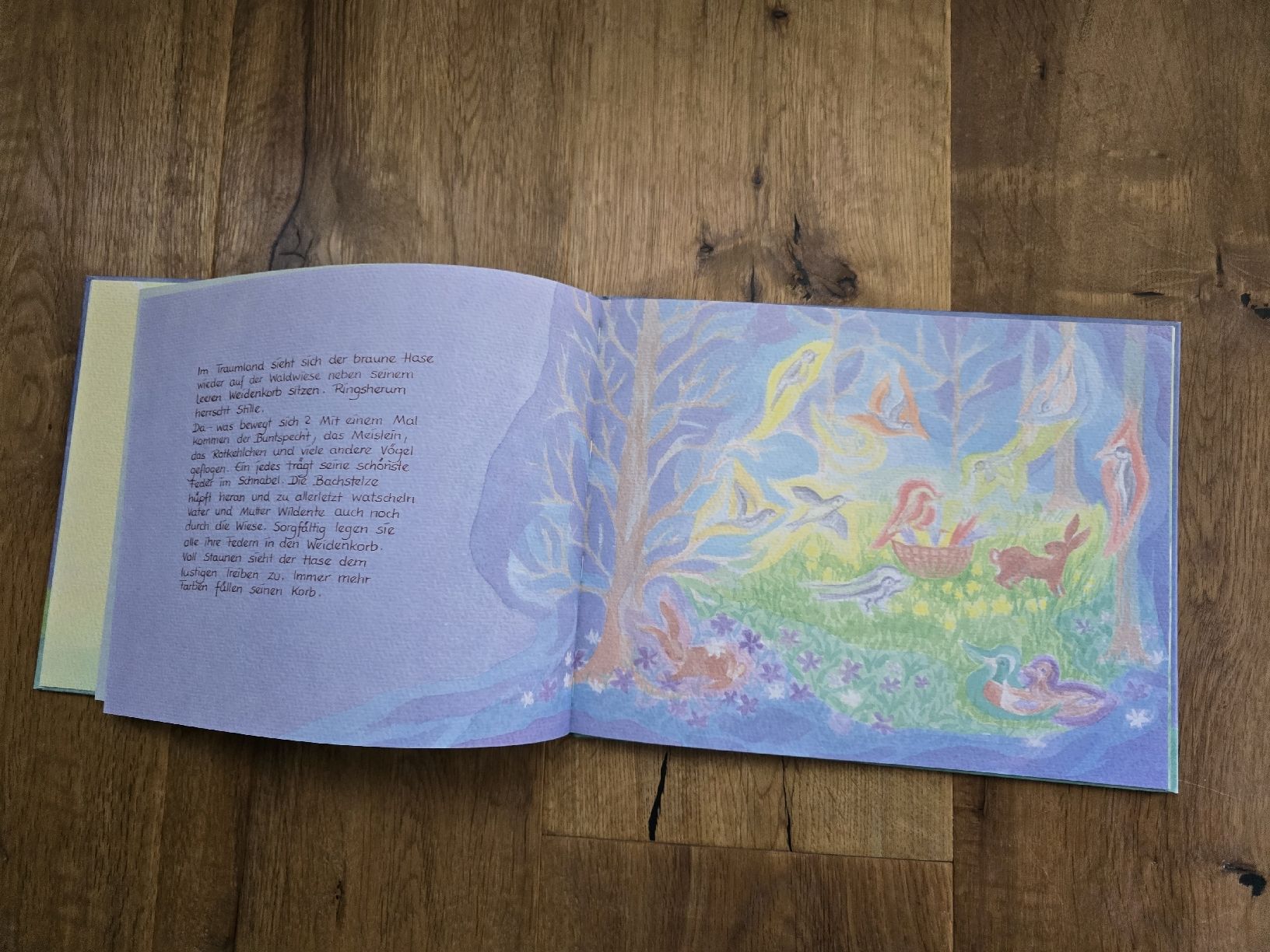 Libri: vom traum des osterhasen bilderbuch – Usato da Wittenbach venduto da Tigerlili 7