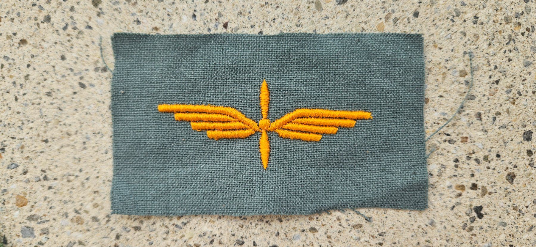 Schweizer Armee Placchette & Badge: *** Abzeichen Pilot Luftwaffe Schweiz Tenü A *** – Nuovo e nell'imballaggio originale da Riedholz venduto da fr_sIruP
