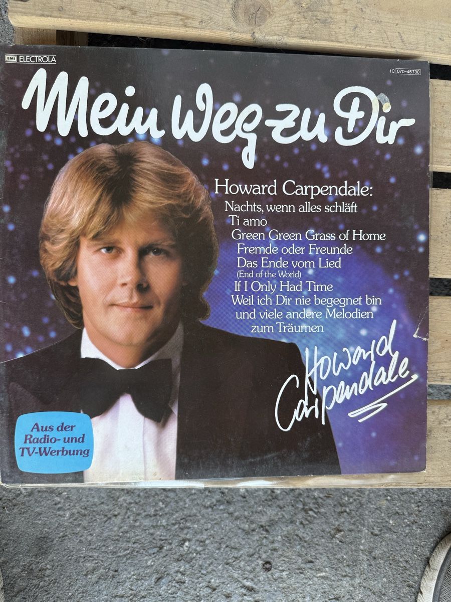 Dischi in vinile: DIV Langspielplatten ca. 250 Stück – Usato da Emmenbrücke venduto da Wmandi0 1