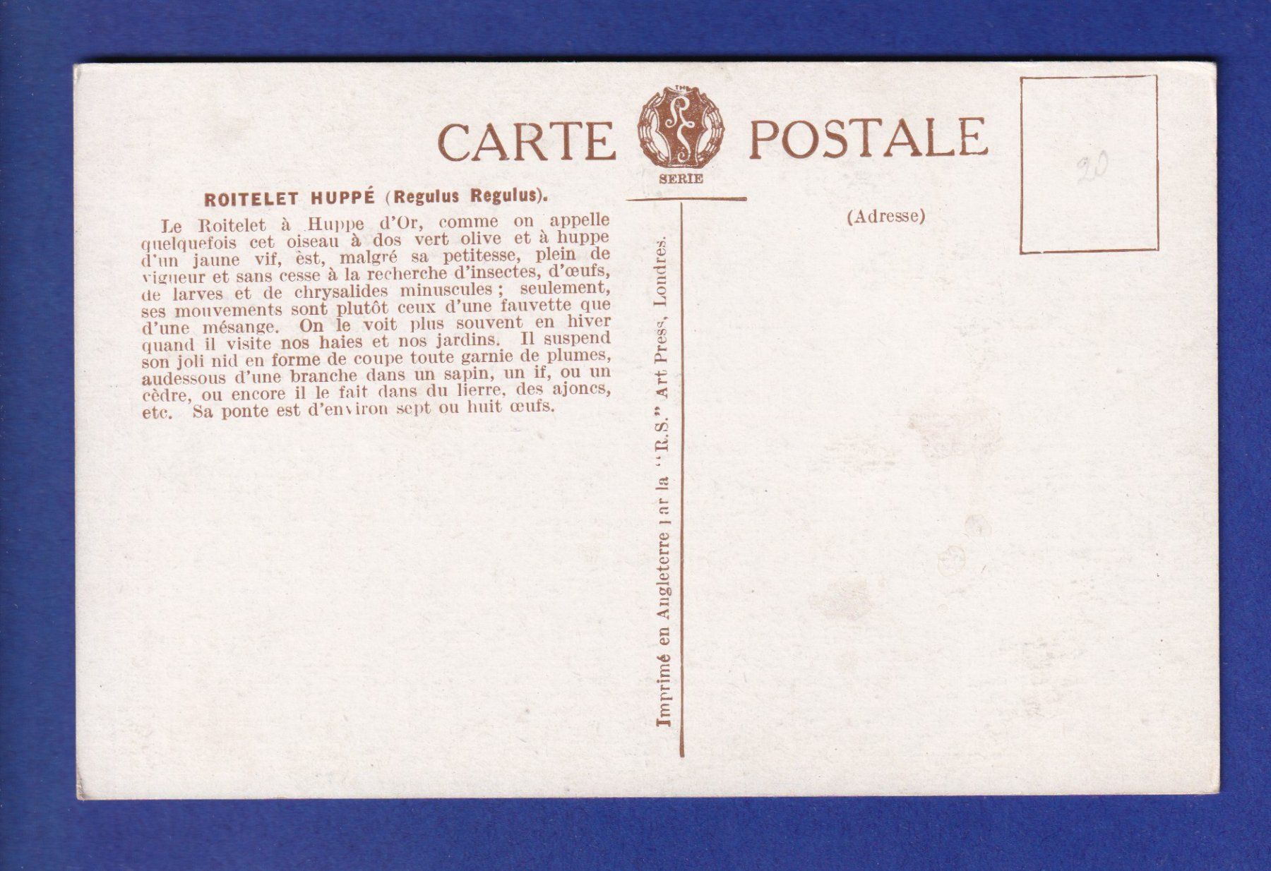 Cartoline postali: OISEAU - Roitelet huppé – Usato da Pully venduto da nicecards-shop 1