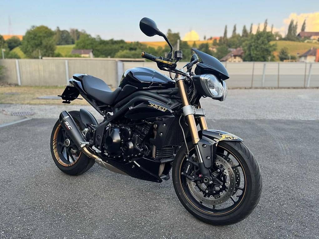 Strada: Speed Triple 1050 – Usato da Oberwangen b. Bern venduto da cra_87q2
