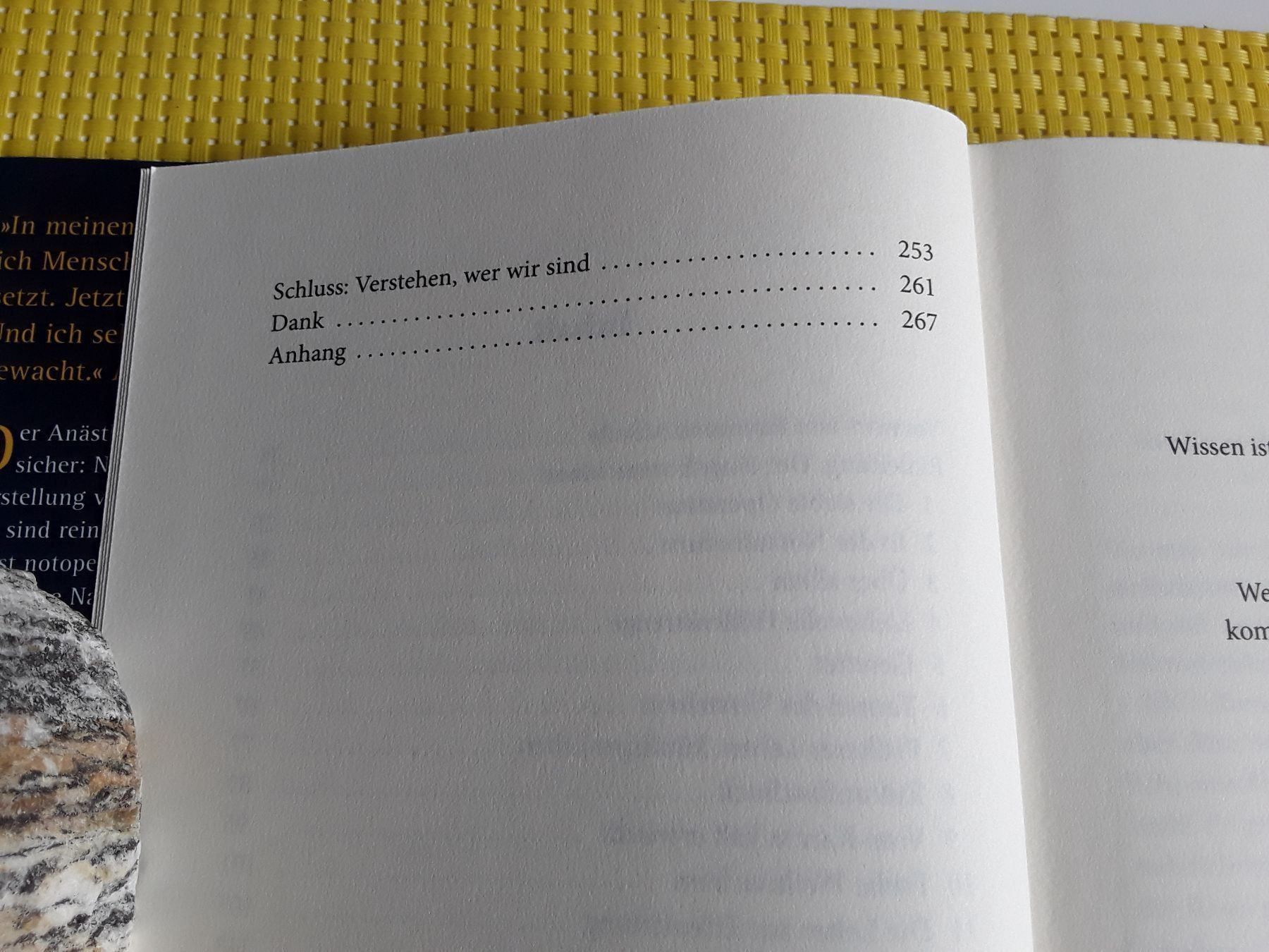 Libri: Erwachen im Licht – Usato da Rebstein venduto da Buchsi03 3