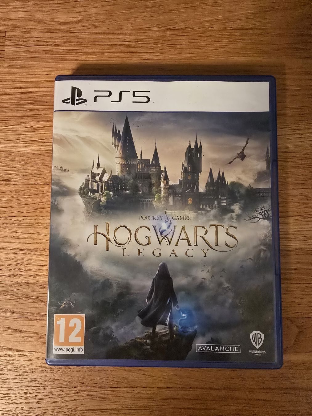 Sony Giochi: Hogwarts Legacy - PS5 – Usato da Gränichen venduto da Vekac74