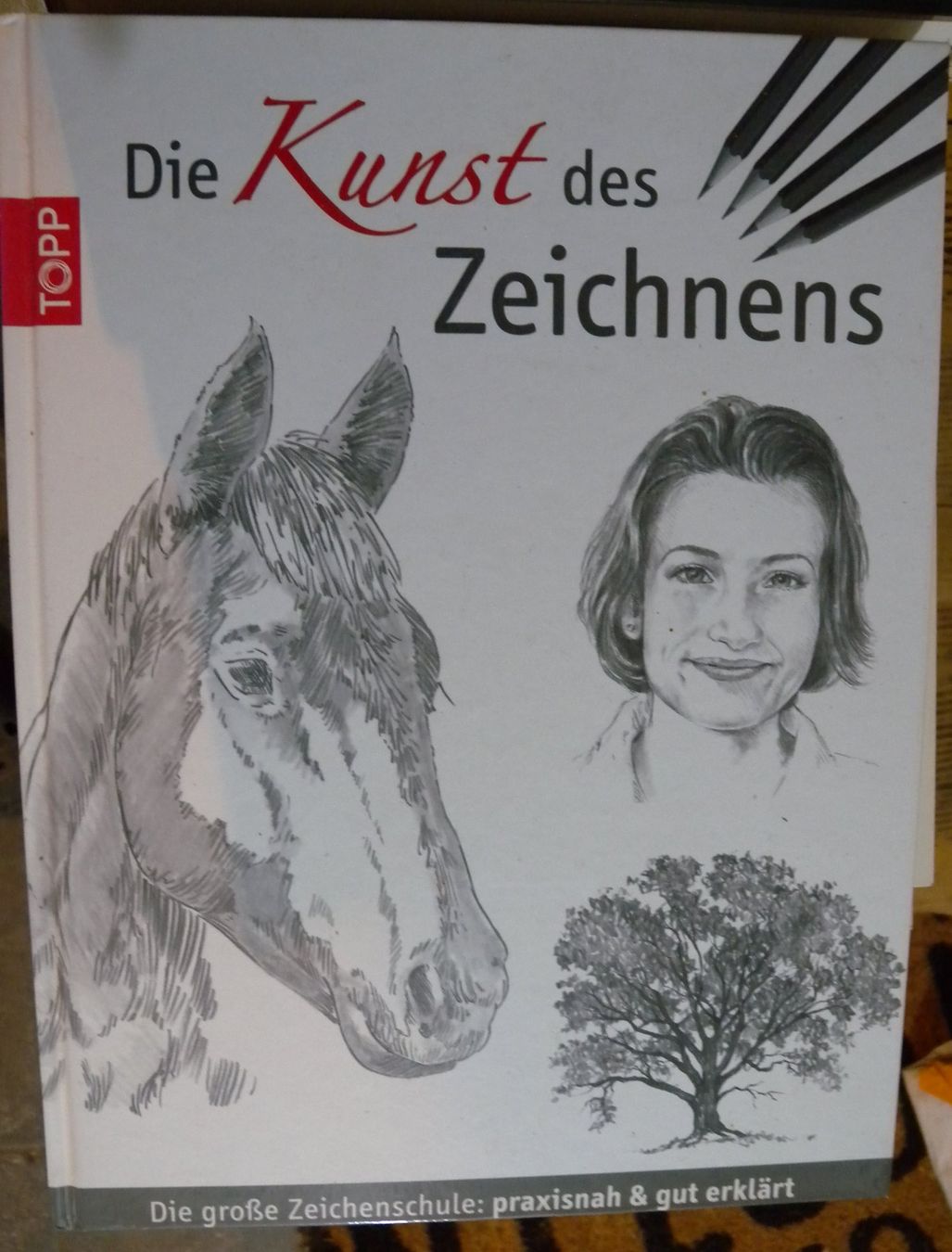 Libri: Zeichenbuch "Die Kunst des Zeichnens" – Usato da Hauenstein venduto da davia72
