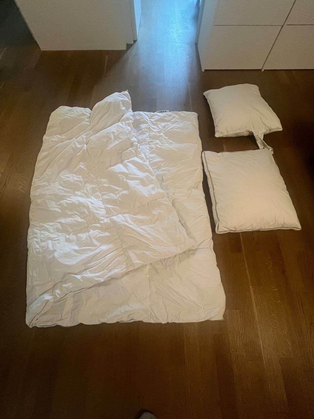 Coperte: Duvet mit 2 Kissen weiss – Usato da Ebmatingen venduto da dartim