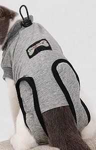 Top: Hunde Bodys Grau Gr. XXS – Nuovo e nell'imballaggio originale da Matt venduto da Westigruppe 4