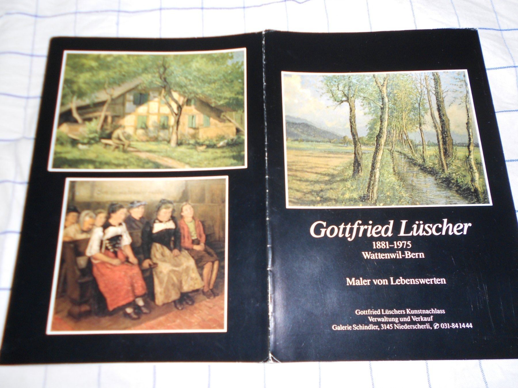 Dipinti: Gottfried Lüscher – Usato da Plasselb venduto da lululuca 6