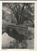 Postkarte 1950, In der Elfenau, Stettler, Bern