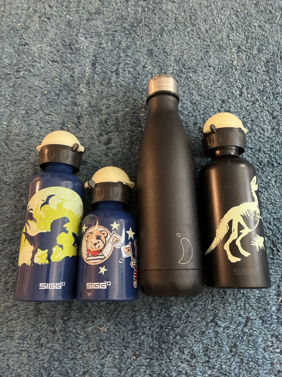 Sigg Borracce & Thermos: Metall Trinkflaschen Set 4 Stk. – Usato da Aarau venduto da SCH_EV 1