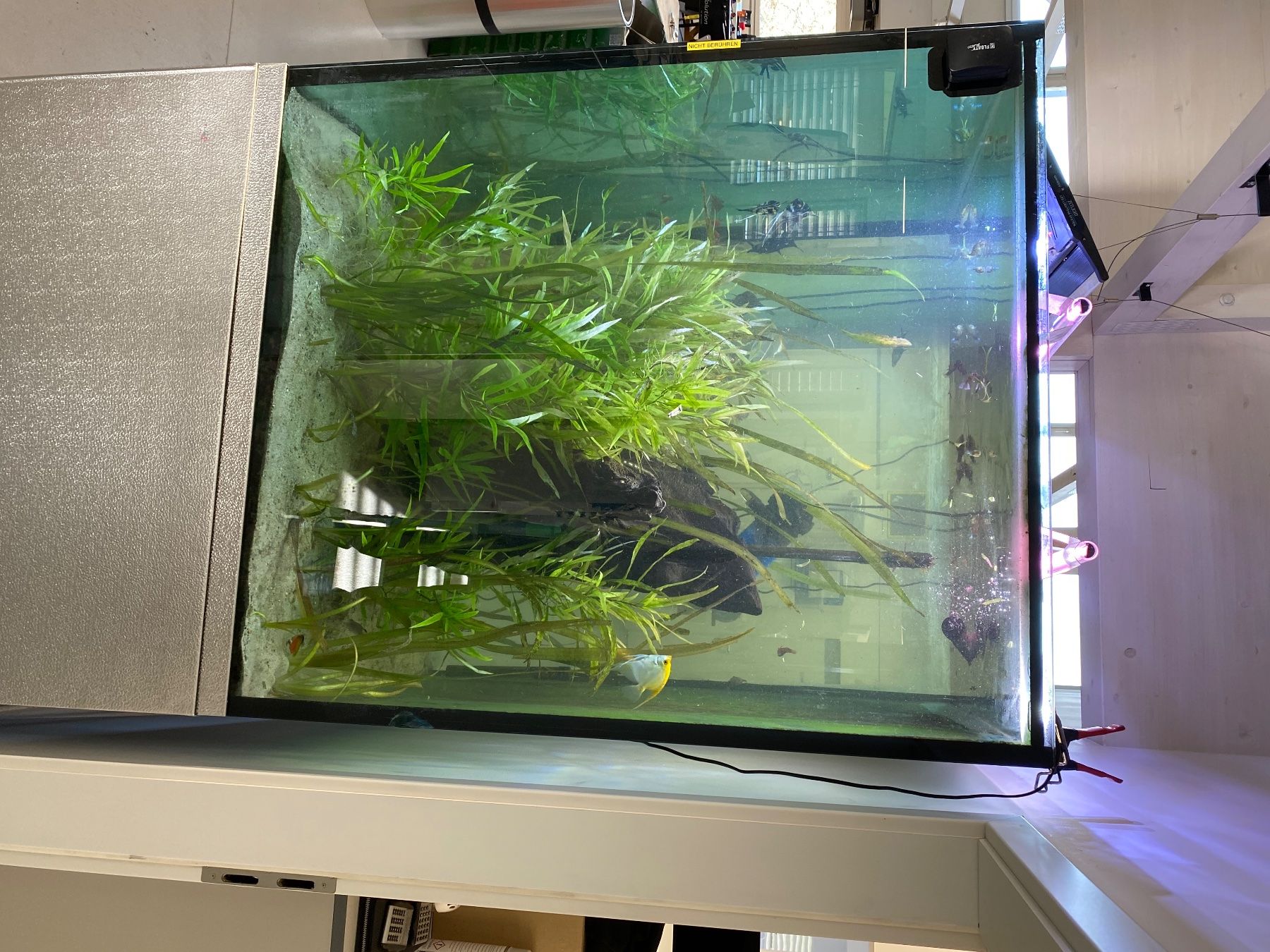 Aquarium: Aquariumwürfel – Gebraucht aus Münchenbuchsee von Tiger811
