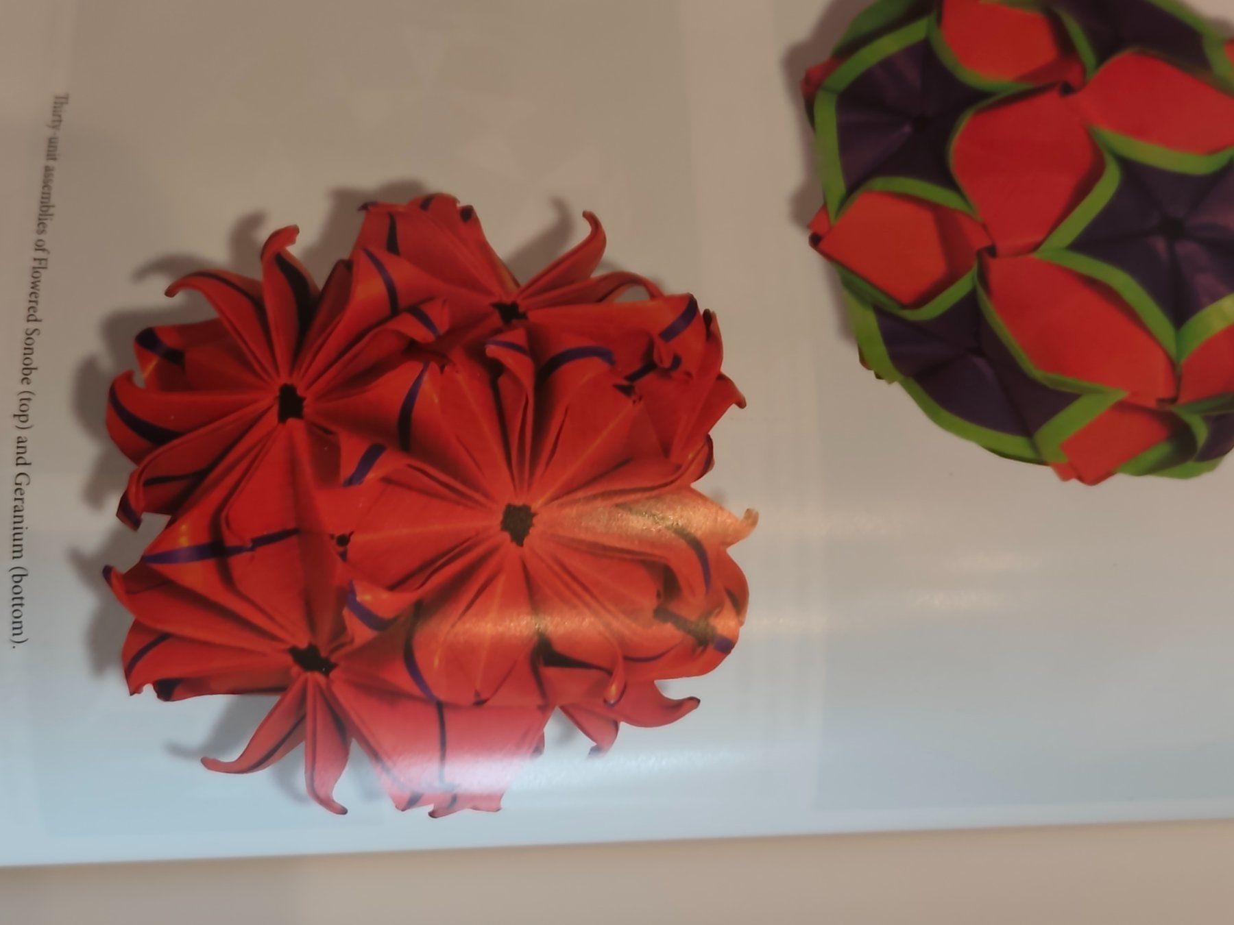 Libri: Manuel d'origami – Usato da Delémont venduto da antioque 4
