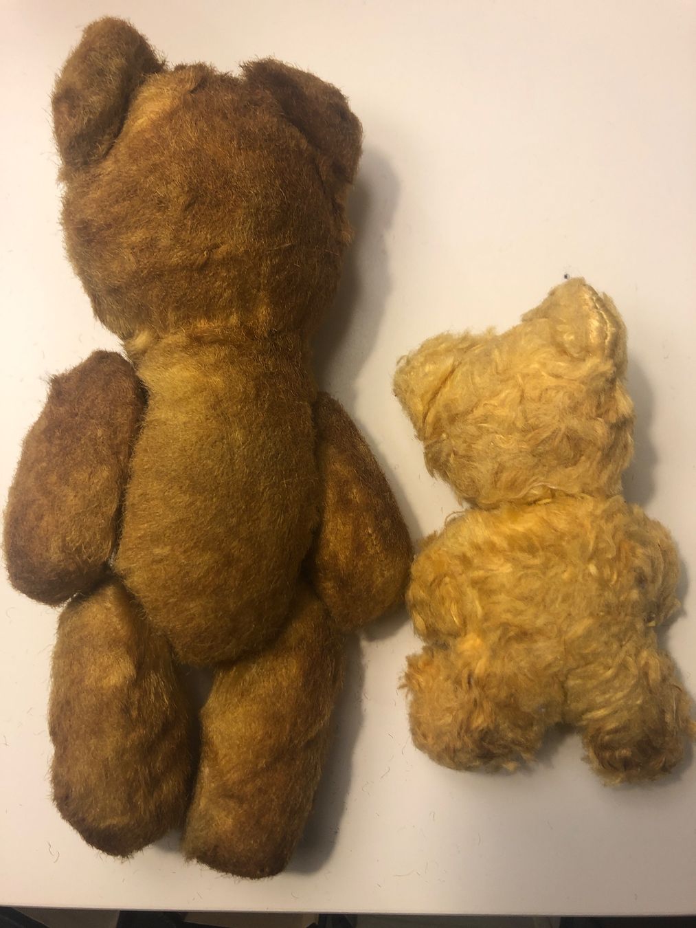 Giocattoli: antike Teddybären, 2 Stück, sehr alt – Usato da Olten venduto da eti_r289 1