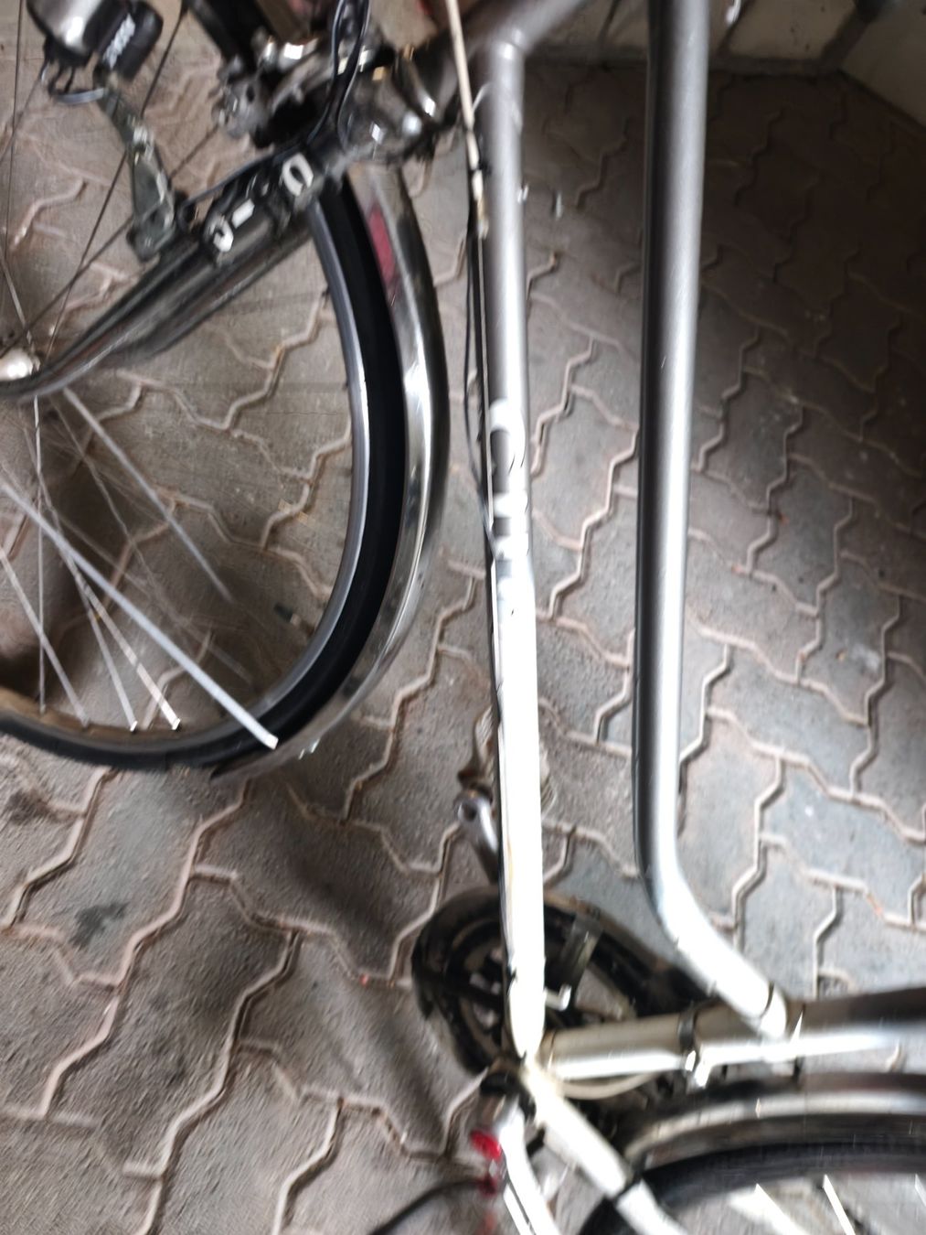 Cilo Velos: Cilo Damenfahrrad – Defekt aus Chur von tun_dy8m 7