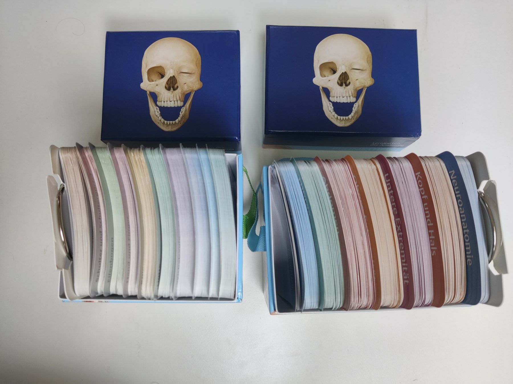 Altro materiale scolastico: Prometheus Lernkarten Anatomie Set 2-teilig – Usato da Zürich venduto da mft_xrc5 1