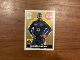 Panini Extra Sticker Moises Caicedo gold FIFA WM 2026 neu