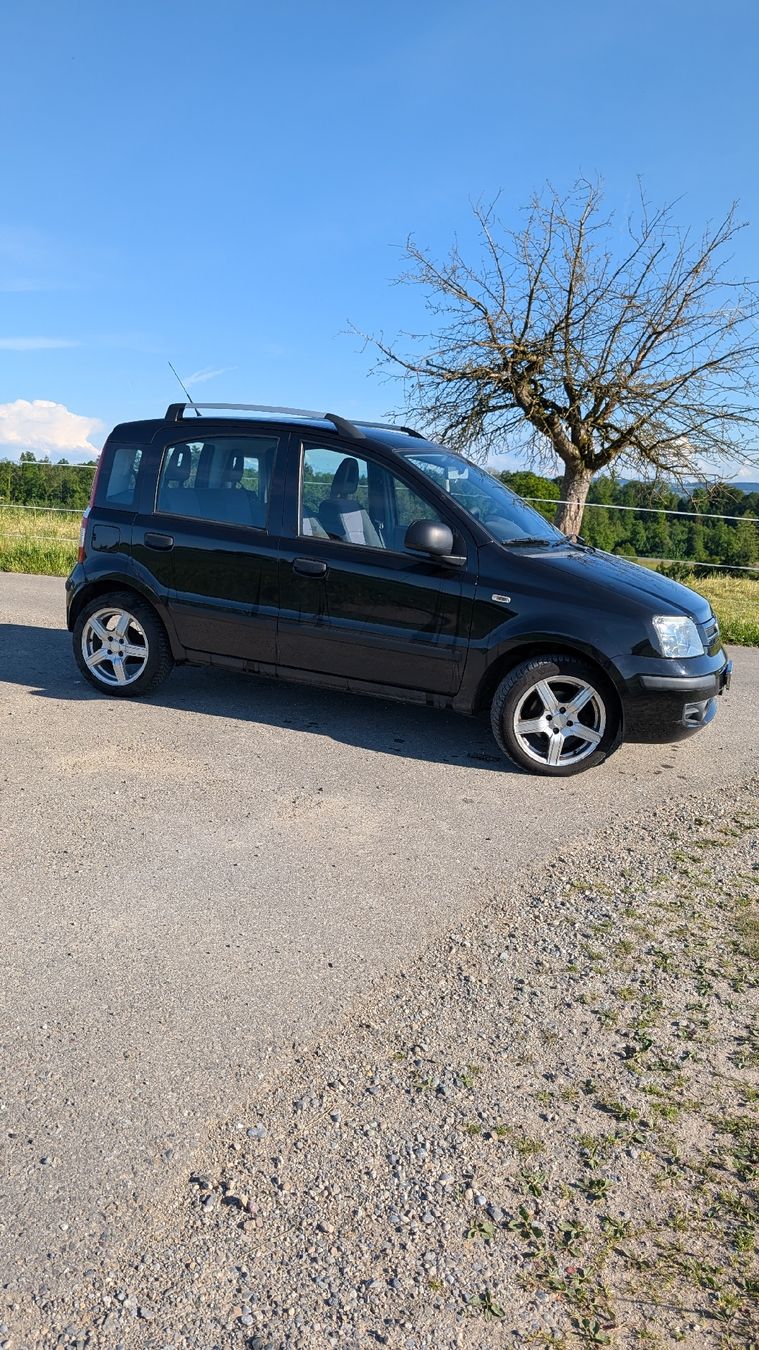 Fiat Automobili: Fiat Panda Kleinwagen – Usato da Wagerswil venduto da AlecRobin 1