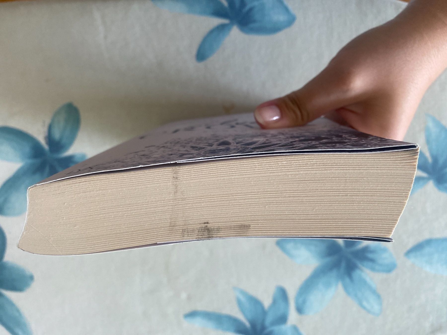 Bücher: Silver Crown Julie Johnson – Gebraucht aus Hünenberg von a.u.849 3