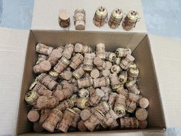 160 x Korken von Prosecco, Champagner, Schaumwein