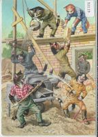 Katzen-Familie - Auf der Baustelle