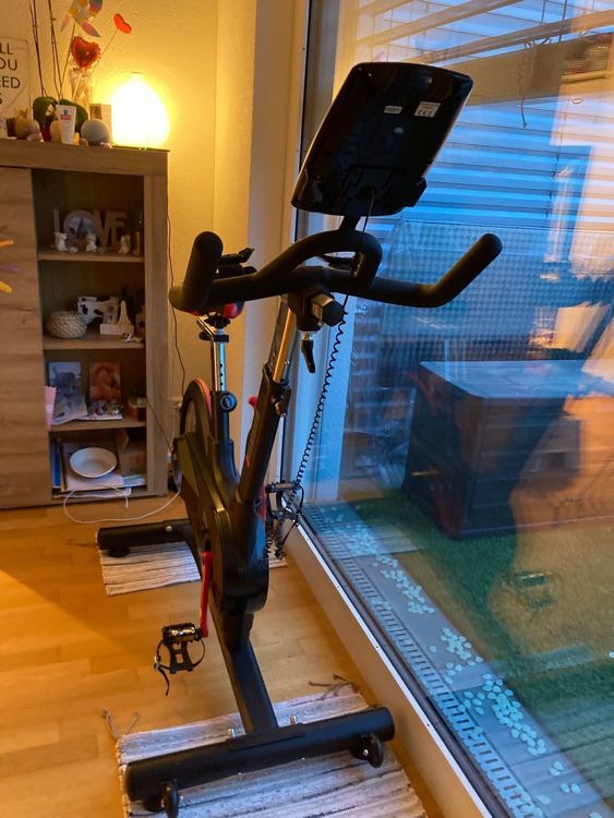 HAMMER exercise bike Speed Racer S Kaufen auf Ricardo