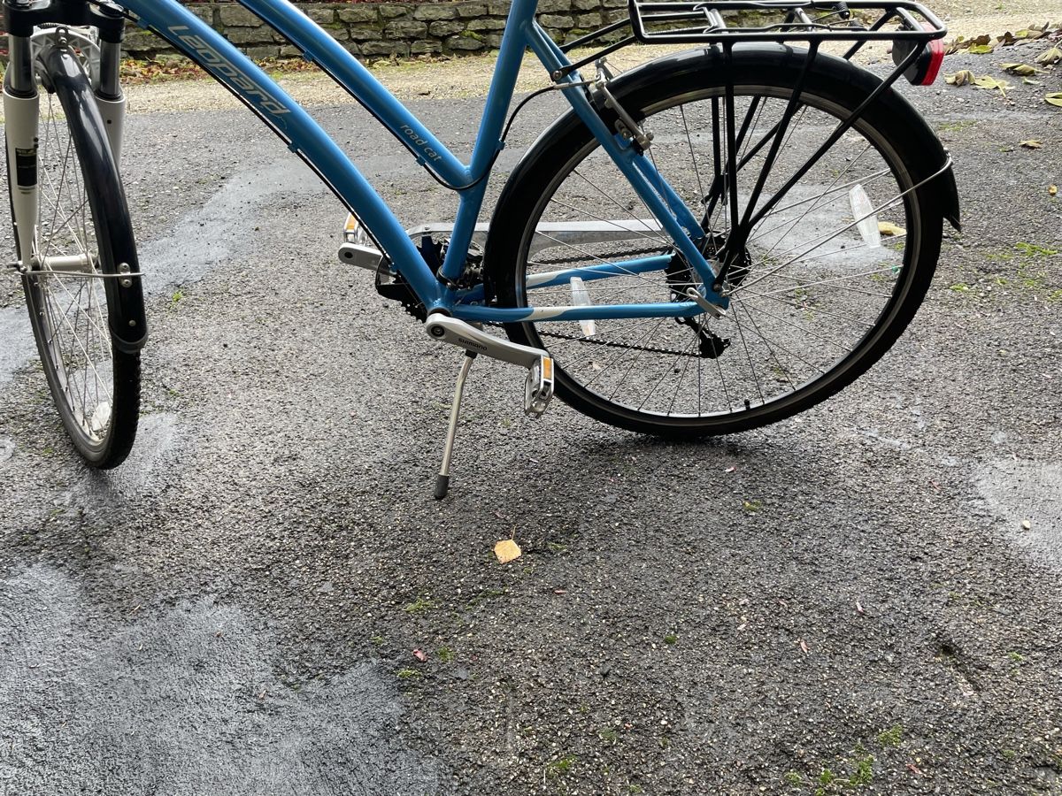 Biciclette: Damen Velo – Nuovo (secondo la descrizione) da Schupfart venduto da famueller 2