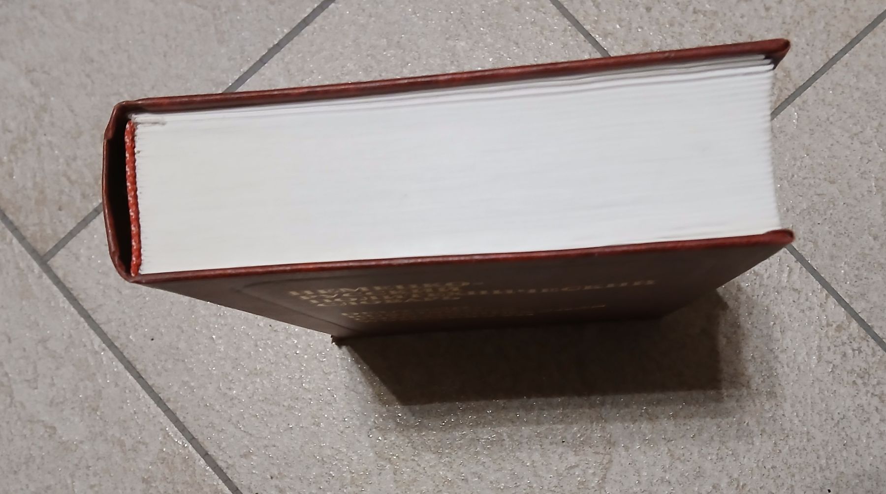 Libri: Deutsch-Russisch, Polytech. Wörterbuch, Neuwertig! – Nuovo (secondo la descrizione) da Frasnacht venduto da ale_g288 1