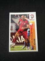 Panini UEFA EM 2008 Sticker - Nr. 513