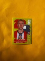 NOR 8 Torbjørn Heggem Panini WM 2026 Sticker