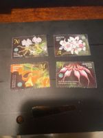 Lot de 4 timbres Belarus 2016 - Orchidees rares!